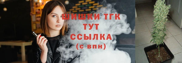 амф Вяземский
