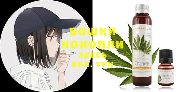ГАЛЛЮЦИНОГЕННЫЕ ГРИБЫ Вязьма