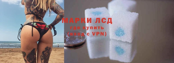 амф Вяземский