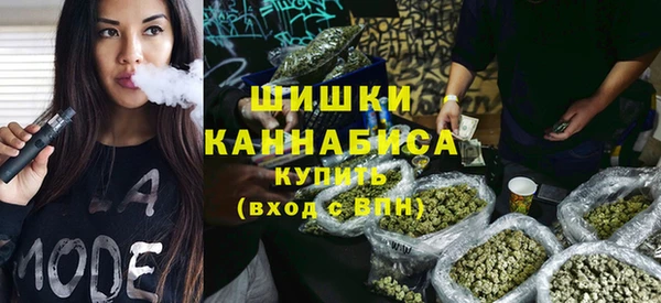 амф Вяземский
