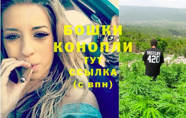 амф Вяземский