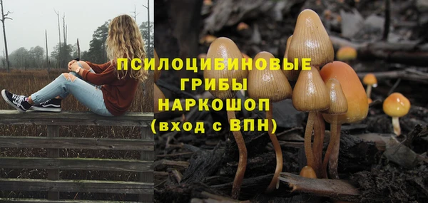 марихуана Горно-Алтайск