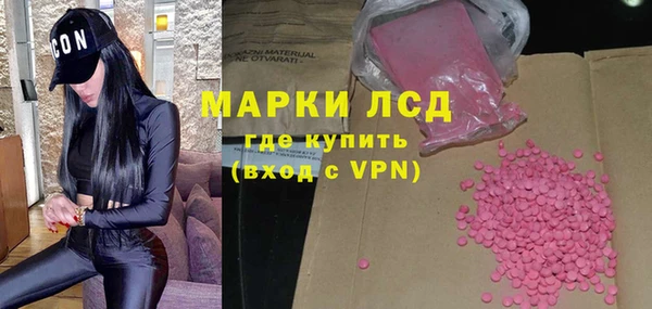 амф Вяземский