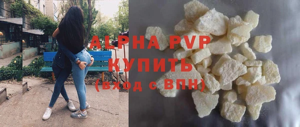 индика Бежецк