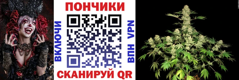 Бошки марихуана AK-47  магазин продажи наркотиков  Дрезна 